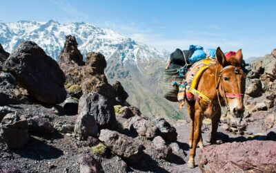 5 Giorni Di Trekking Nelle Tre Valli e Villaggi Barberi