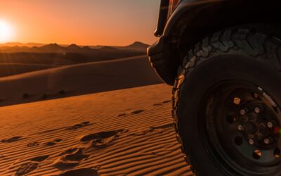 Wild Marocco