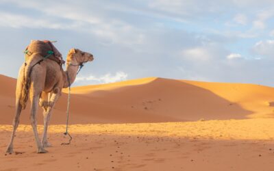 Algeria