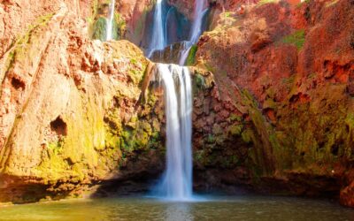 Gita Giornaliera alle Cascate di Ouzoud