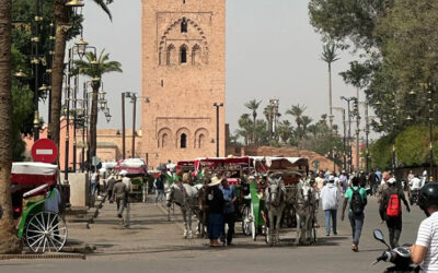 Marocco: Trekking e Alpinismo nell’alto Atlante