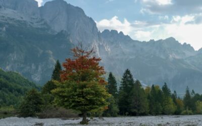 Nuova avventura nei Balcani