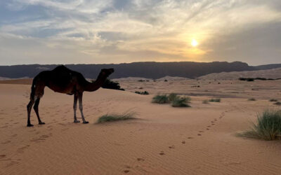 Mauritania il paese del silenzio e del vento